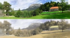 Računalniške in mobilne igre za mačke: lastnosti in sorte